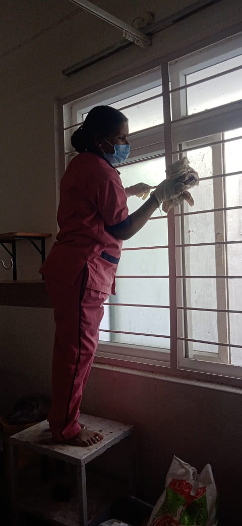 Cleaning